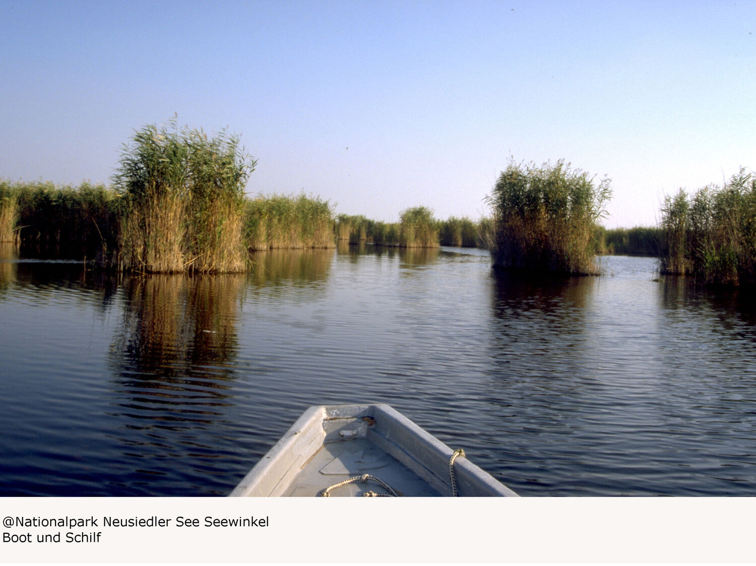(c) Nationalpark - Neusiedler See Seewinkel