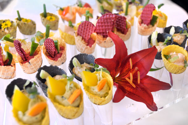 frederik's catering
