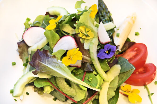 frederik's catering