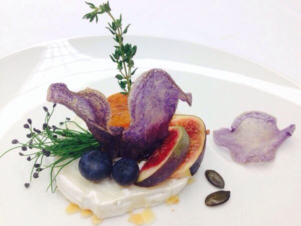 frederik's catering