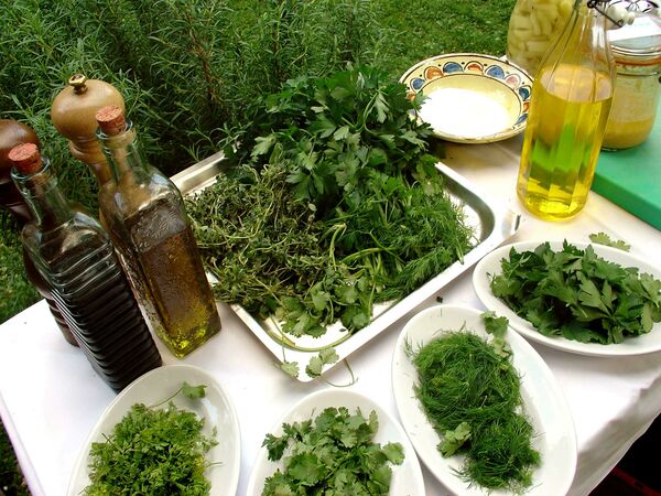 frederik's catering